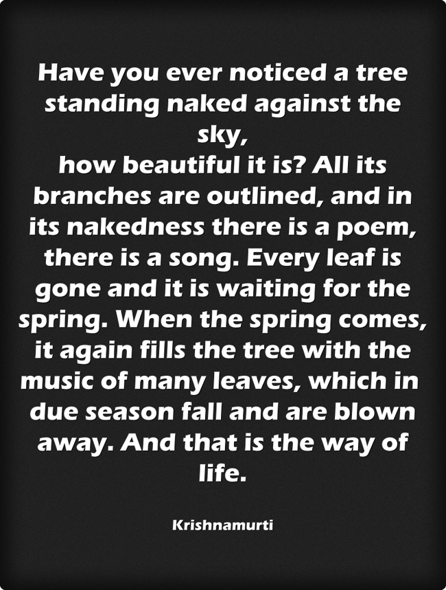 Have You Ever Noticed A Tree Standing Naked Against The Quozio