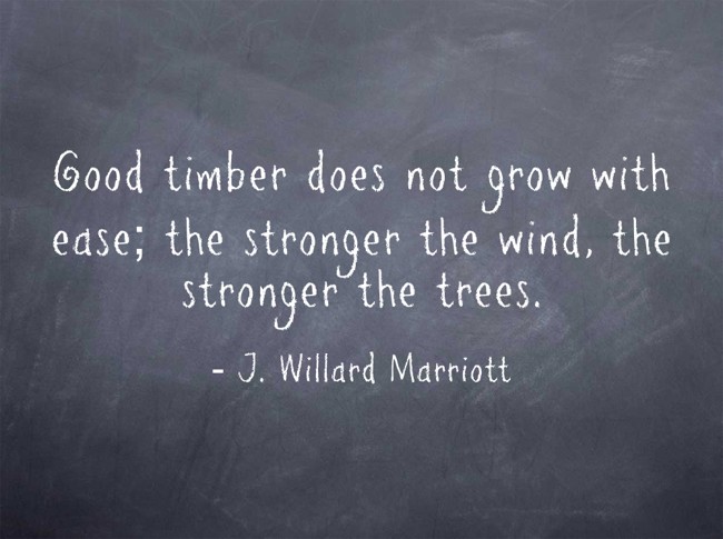 Good Timber Does Not Grow With Ease The Stronger The Wind Quozio