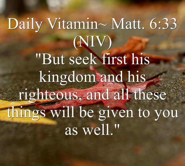 daily-vitamin-matt-6-33-niv-but-seek-first-his-kingdom-quozio