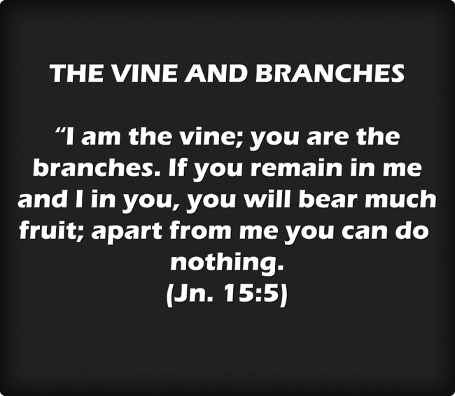 THE VINE AND BRANCHES “I am the vine; you are the branches. Quozio