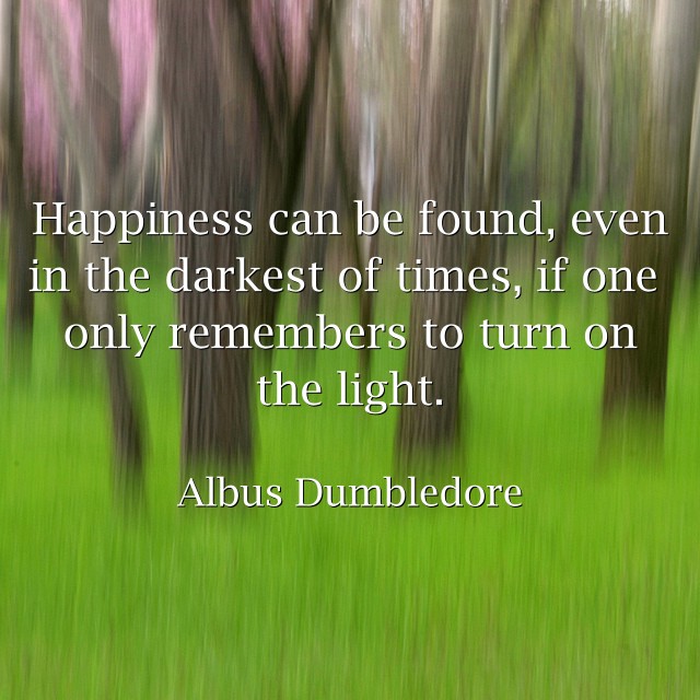 Happiness can be found, even in the darkest of times, if - Quozio