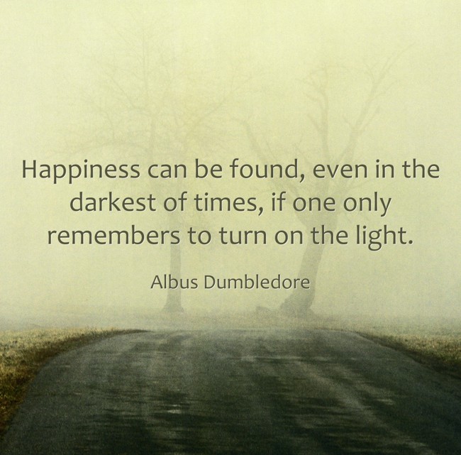 Happiness can be found, even in the darkest of times, if - Quozio