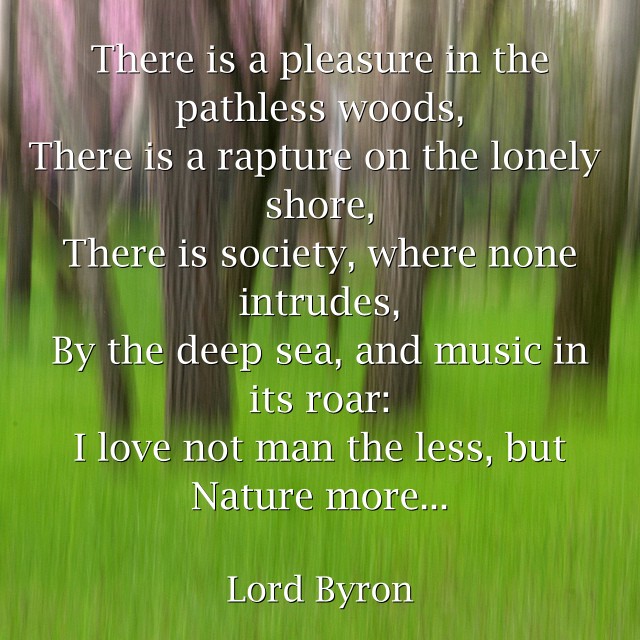 theres a pleasure in the pathless woods