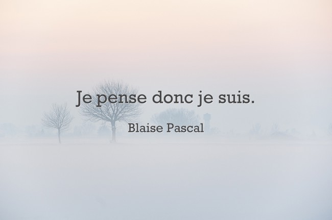Je Pense Donc Je Suis Dissertation