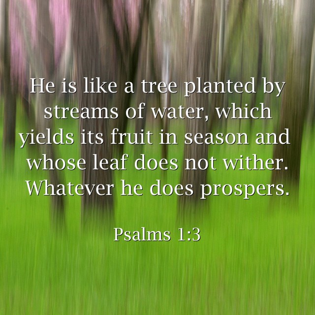 He is like a tree planted by streams of water, which yields - Quozio