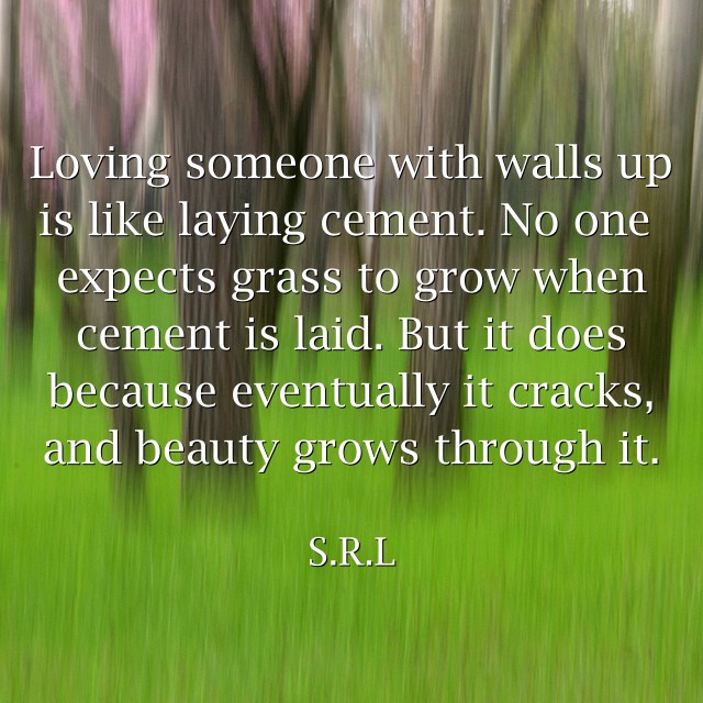 Loving someone with walls up is like laying cement. No one Quozio