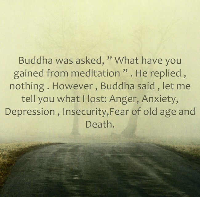 Buddha Was Asked What Have You Gained From Meditation Quozio