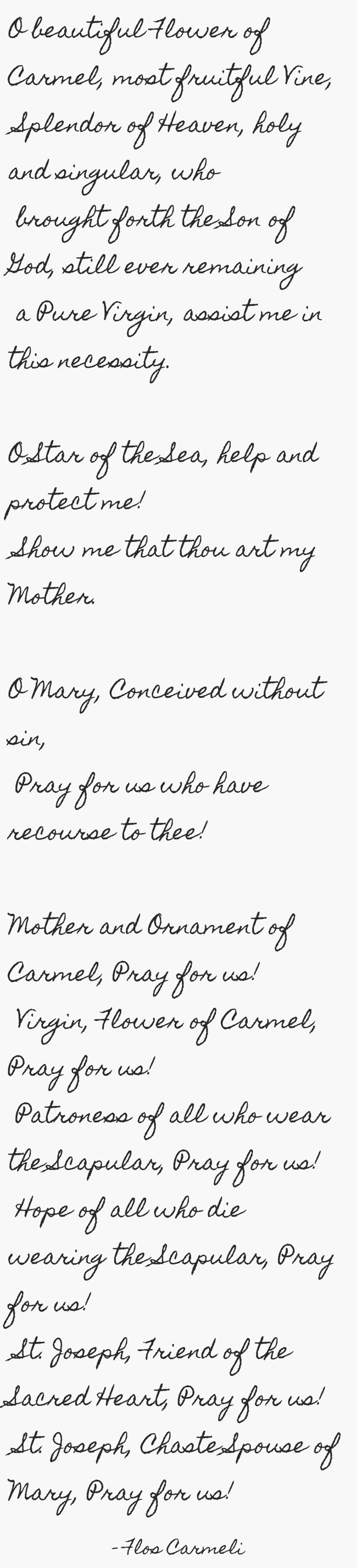 O beautiful Flower of Carmel, most fruitful Vine, Splendor Quozio