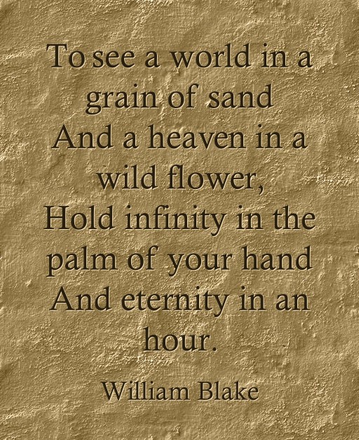 To See A World In A Grain Of Sand And A Heaven In A Wild Quozio