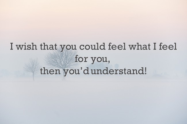 I Wish That You Could Feel What I Feel For You Then You d Quozio i-wish-that-you-could-feel-what-i-feel-for-you-then-you-d-quozio
