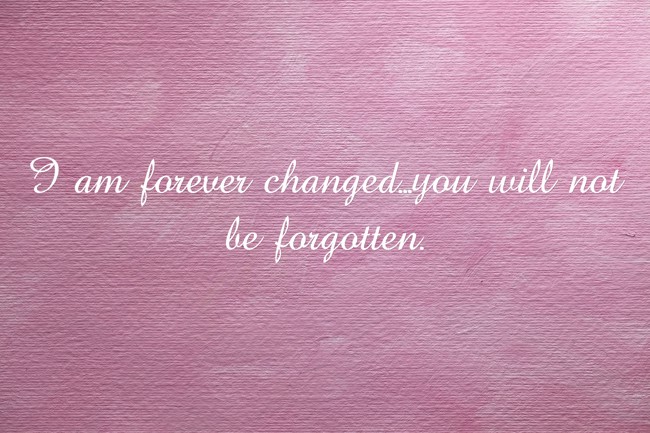 I Am Forever Changed...you Will Not Be Forgotten. - Quozio