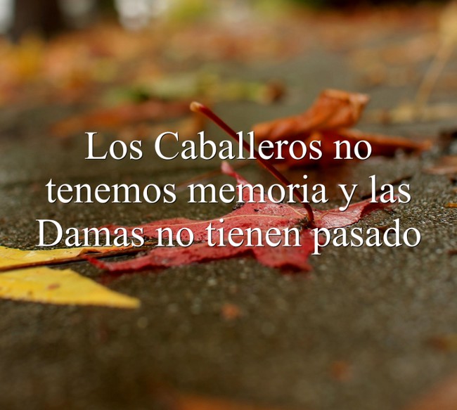 Los Caballeros no tenemos memoria y las Damas no tienen Quozio Los Caballeros no tenemos memoria y las Damas no tienen Quozio