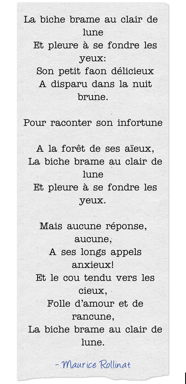 La biche brame au clair de lune Et pleure à se fondre les - Quozio