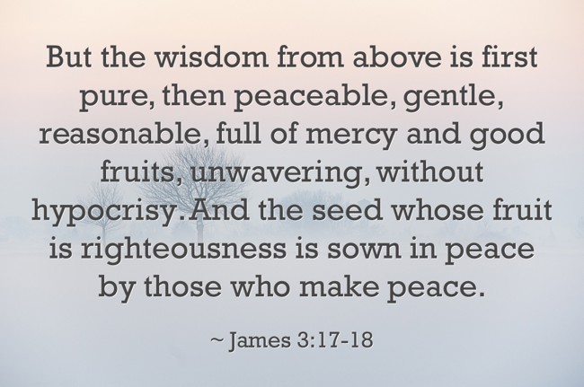 But the wisdom from above is first pure, then peaceable, - Quozio