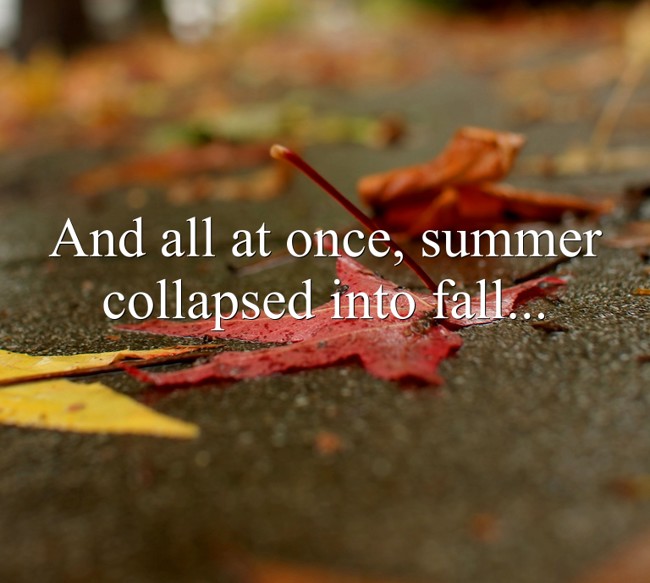 And all at once, summer collapsed into fall... - Quozio