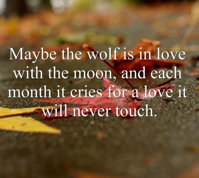 Is The Moon The Wolf In Love With Quote Maybe