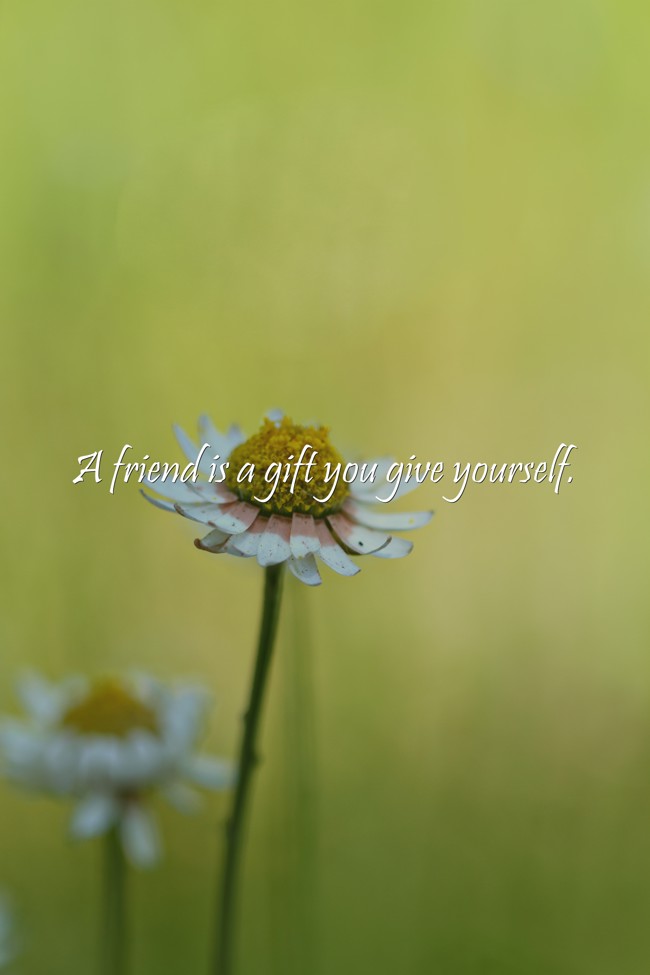 A friend is a gift you give yourself. - Quozio