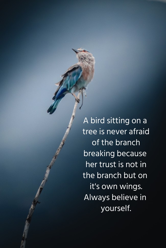 A bird sitting on a tree is never afraid of the branch - Quozio