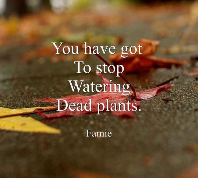 you-have-got-to-stop-watering-dead-plants-quozio