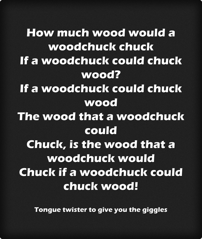 How much wood would a woodchuck chuck. Вуд Чак скороговорка. How much Wood would. How much Wood would a Woodchuck Chuck песня.