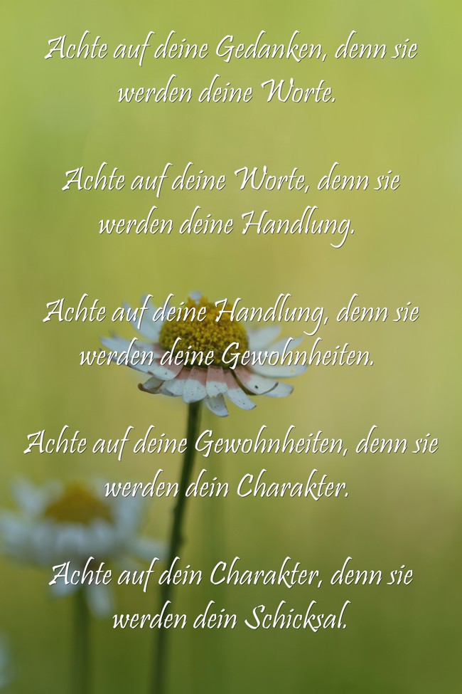 Achte auf deine Gedanken, denn sie werden deine Worte. Quozio