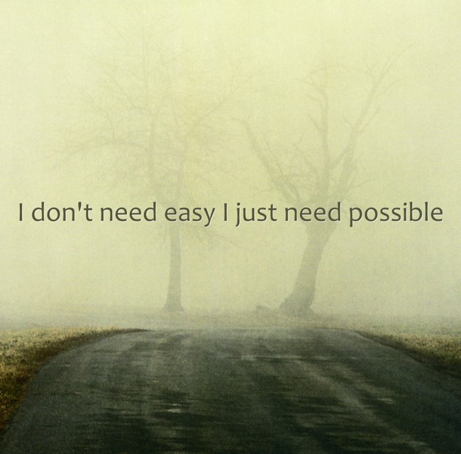 i-don-t-need-easy-i-just-need-possible-quozio