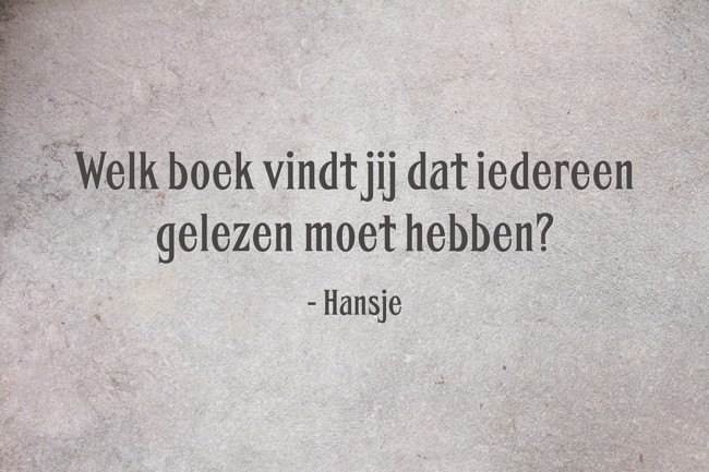 Welk boek vindt jij dat iedereen gelezen moet hebben? - Quozio