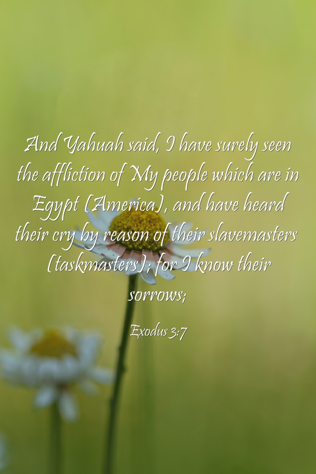 And Yahuah said, I have surely seen the affliction of My - Quozio