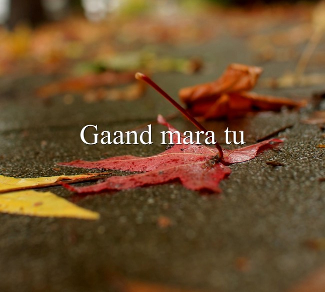 Gaand Mara Meaning In English Urdu