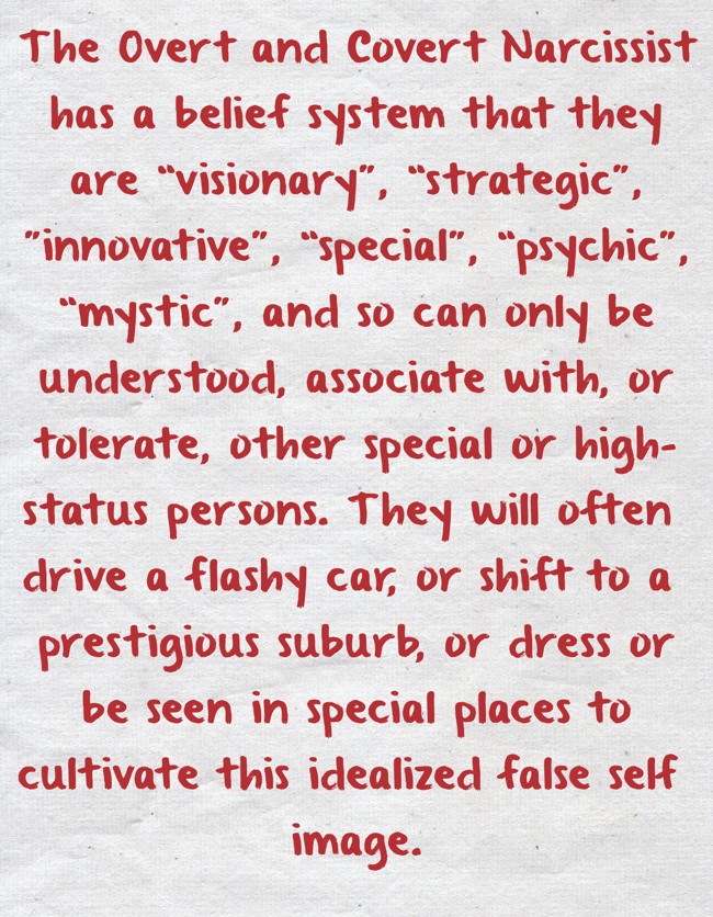 Closet Narcissist Dandk Organizer