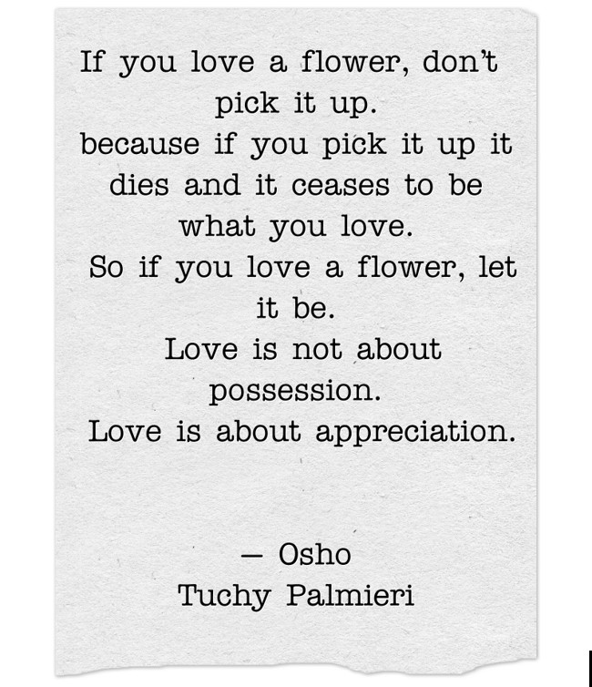 If you love a flower, don’t pick it up. because if you pick Quozio