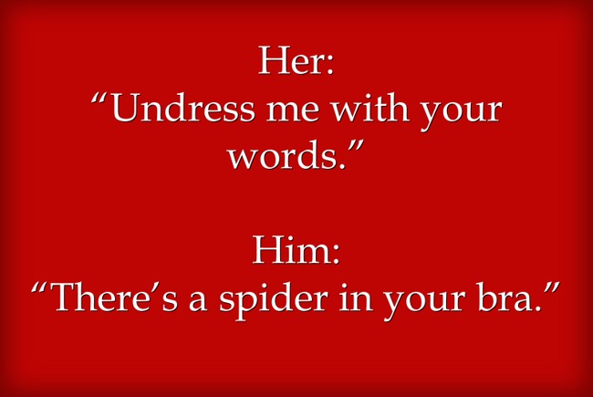 her-undress-me-with-your-words-him-there-s-a-spider-quozio