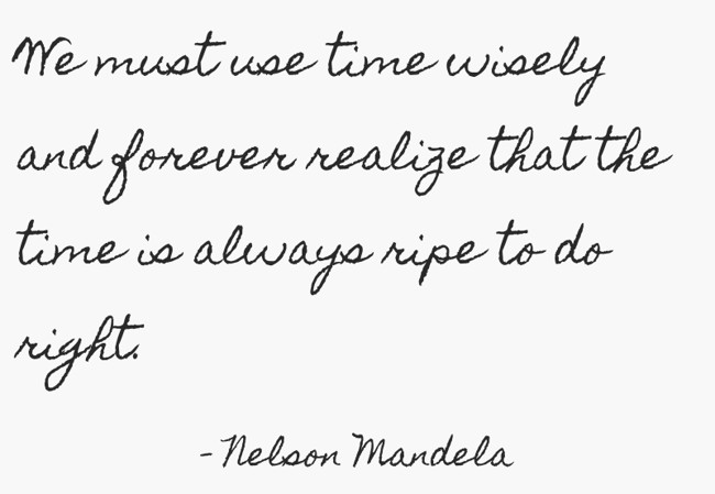 We must use time wisely and forever realize that the time - Quozio