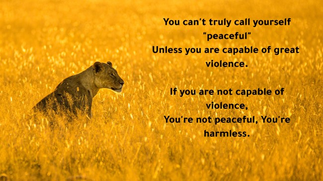 you-can-t-truly-call-yourself-peaceful-unless-you-are-quozio