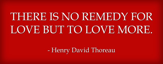 there-is-no-remedy-for-love-but-to-love-more.jpg