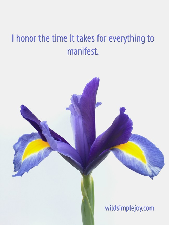 i-honor-the-time-it-takes-for-everything-to-manifest.jpg