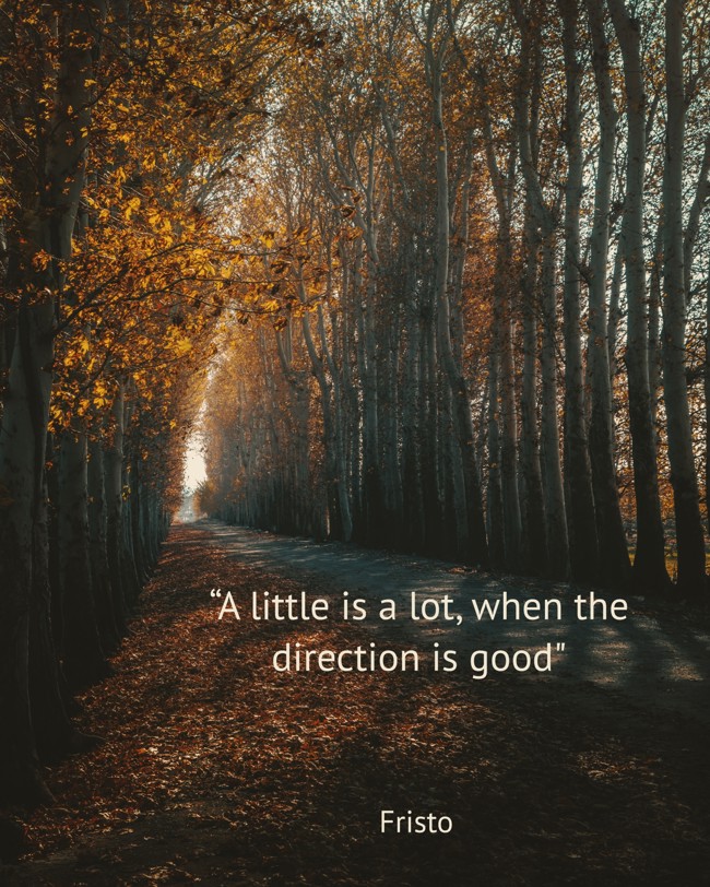 a-little-is-a-lot-when-the-direction-is-good.jpg