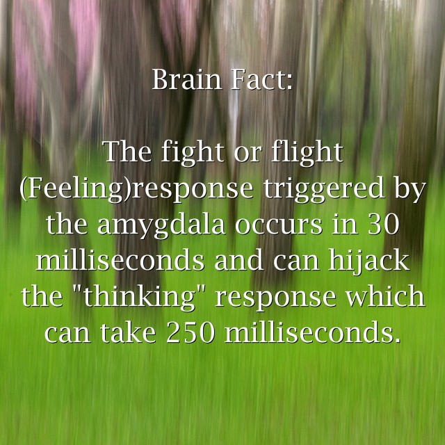 Brain Fact: The fight or flight (Feeling)response triggered - Quozio