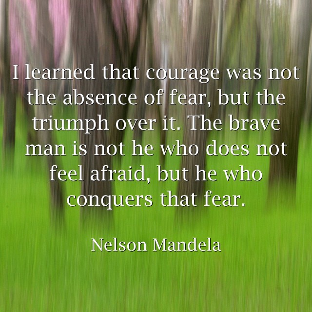 I learned that courage was not the absence of fear, but the triumph over it.   - Nelson