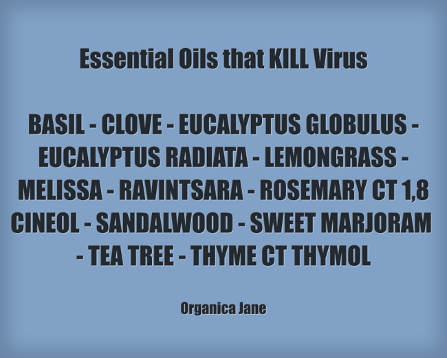 Essential Oils that KILL Virus BASIL CLOVE EUCALYPTUS Quozio