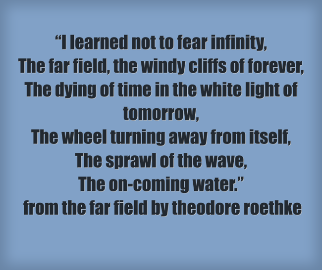 I learned not to fear infinity The far field the windy Quozio