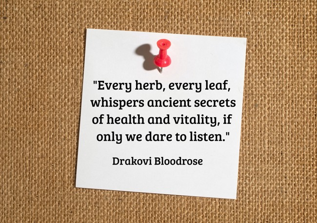 The Hidden Potential of Naruto Leaf: Unlocking the Secrets of this Ancient Herb