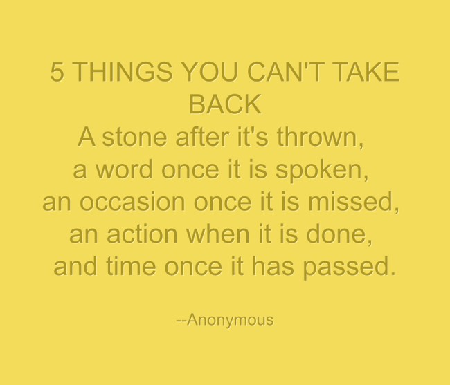 5-things-you-can-t-take-back-a-stone-after-it-s-thrown-a-quozio