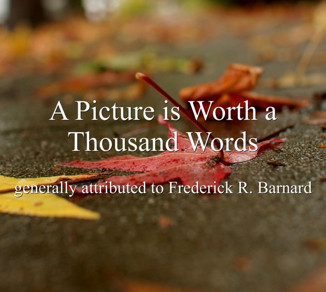 A Picture is Worth a Thousand Words - Quozio