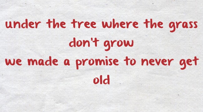 under the tree where the grass don't grow we made a promise - Quozio