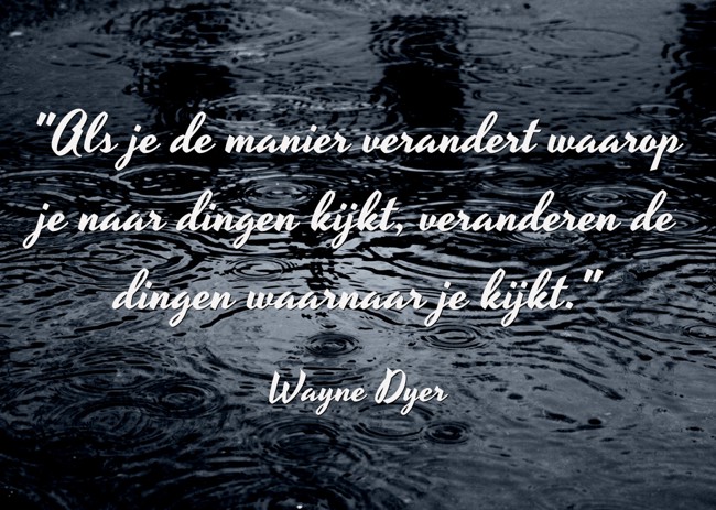 "Als je de manier verandert waarop je naar dingen kijkt, - Quozio