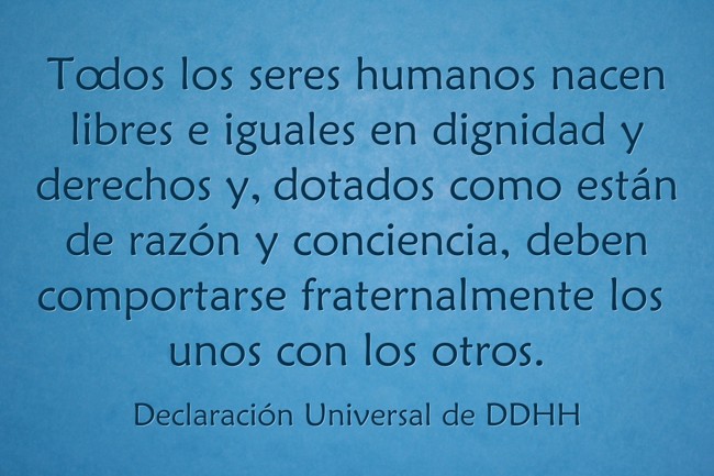 Todos los seres humanos nacen libres e iguales en dignidad - Quozio