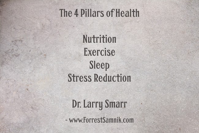 The 4 Pillars of Health Nutrition Exercise Sleep Stress - Quozio