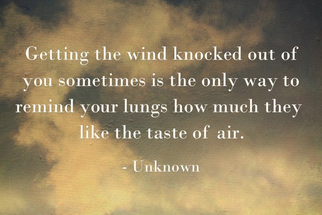 Getting The Wind Knocked Out Of You Sometimes Is The Only - Quozio