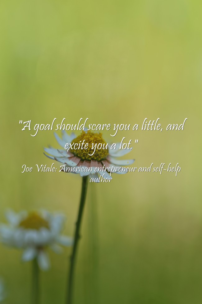 A goal should scare you a little and excite you a lot. -Joe Vitale